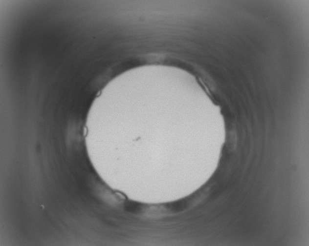 X0000081310525200702082113