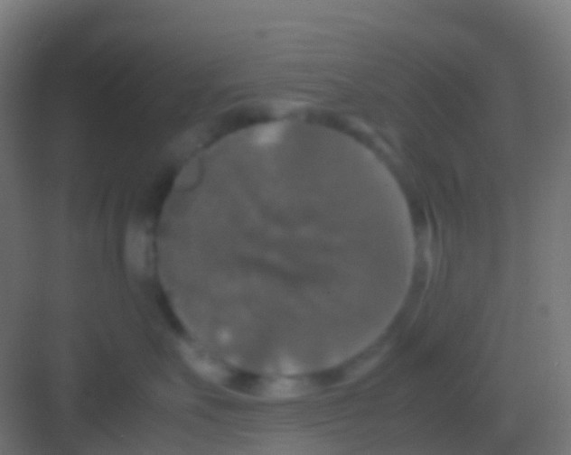 X0000081310527200702082113