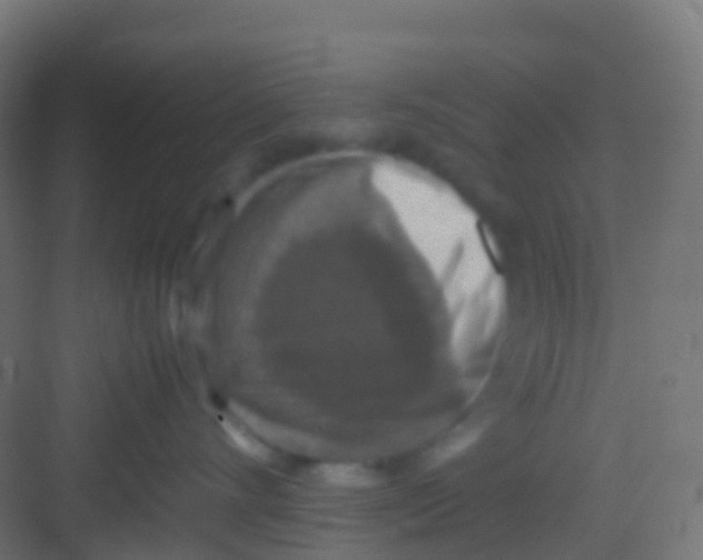 X0000081310528200702082113