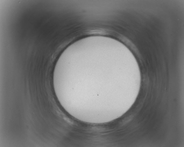 X0000081310529200702082113