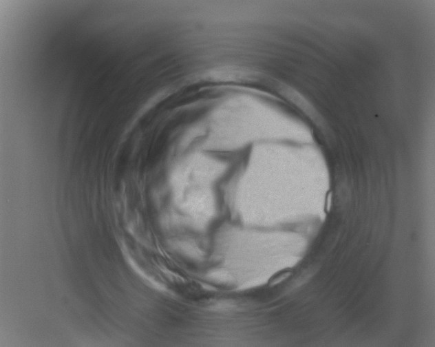 X0000081310530200702082113