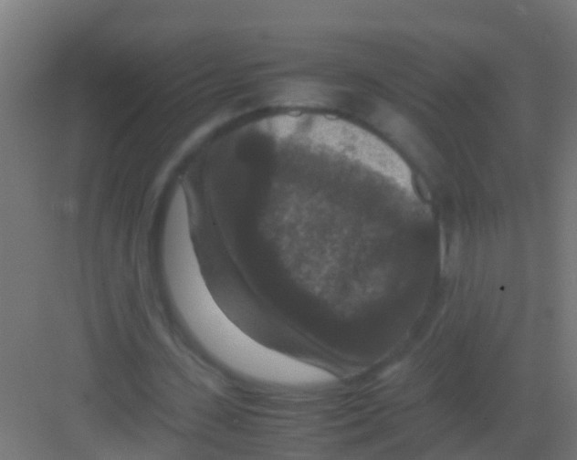 X0000081310531200702082113