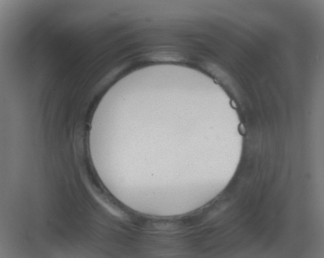 X0000081310533200702082113