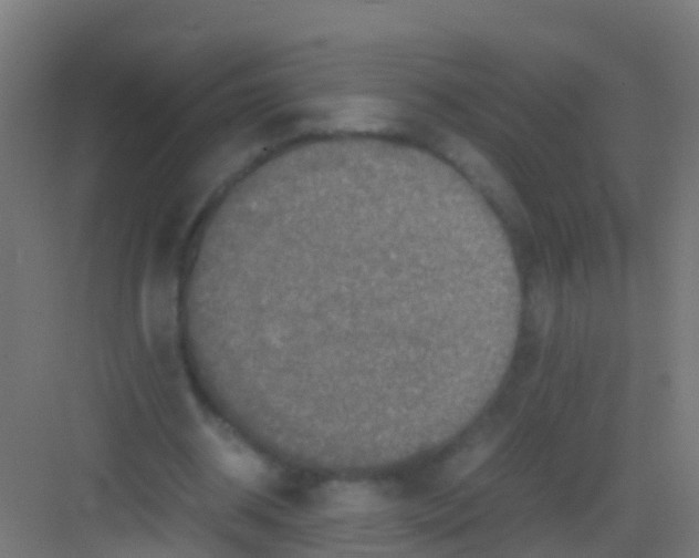 X0000081310534200702082113