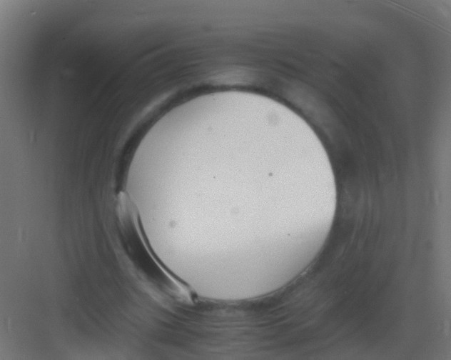 X0000081310535200702082113