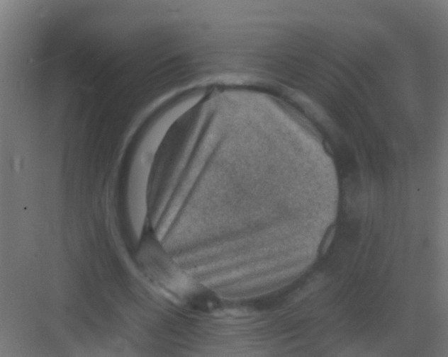 X0000081310536200702082113