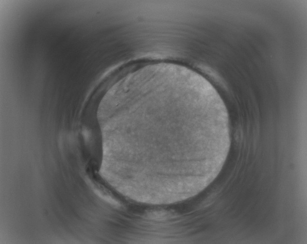 X0000081310540200702082113