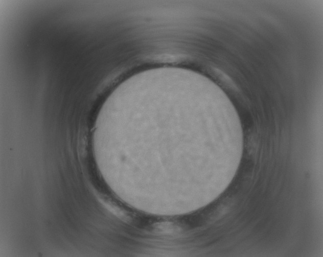 X0000081310544200702082113