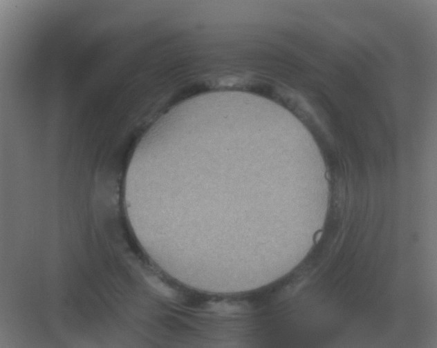 X0000081310545200702082113