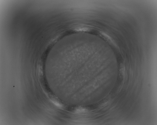 X0000081310547200702082113