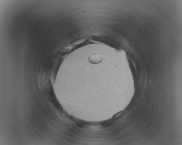 X0000081310548200702082113