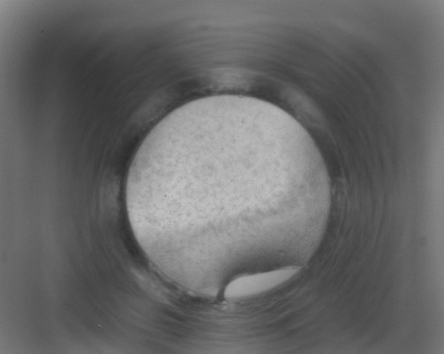 X0000081310550200702082113