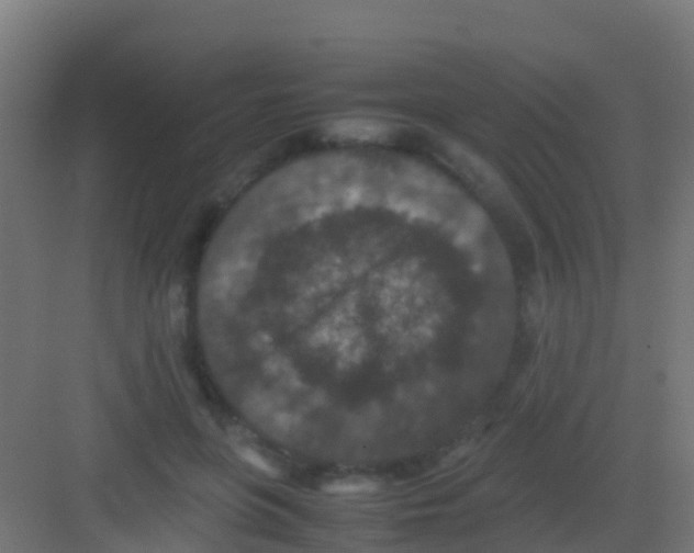 X0000081310551200702082113