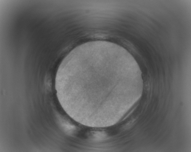 X0000081310552200702082113