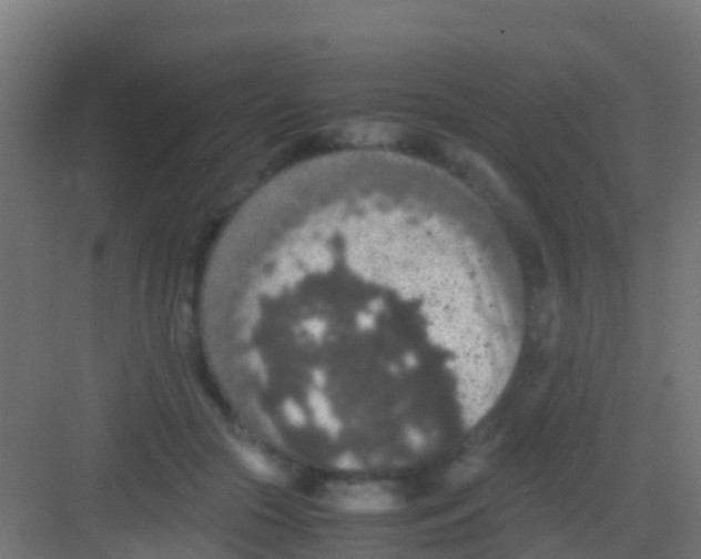 X0000081310553200702082113