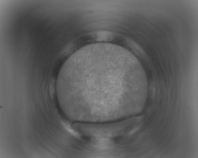 X0000081310554200702082113