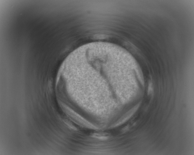 X0000081310556200702082113