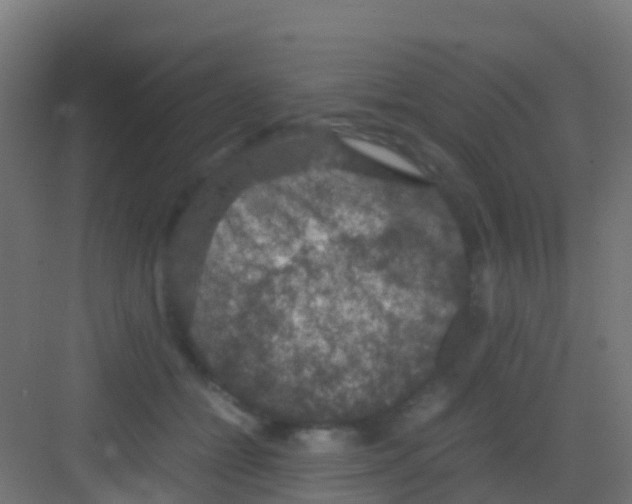 X0000081310558200702082113