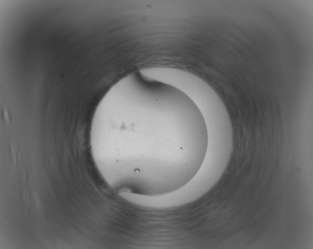 X0000081310560200702082113