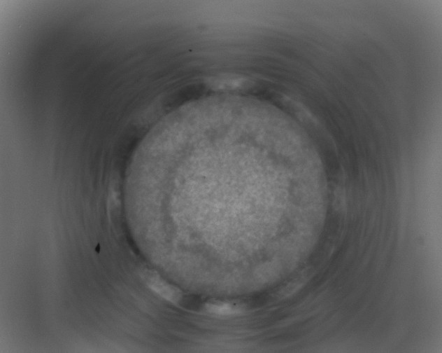 X0000081310561200702082113