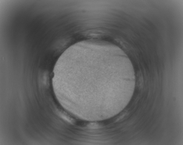 X0000081310562200702082113