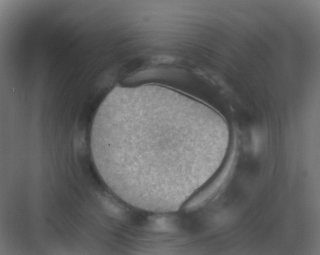 X0000081310564200702082113