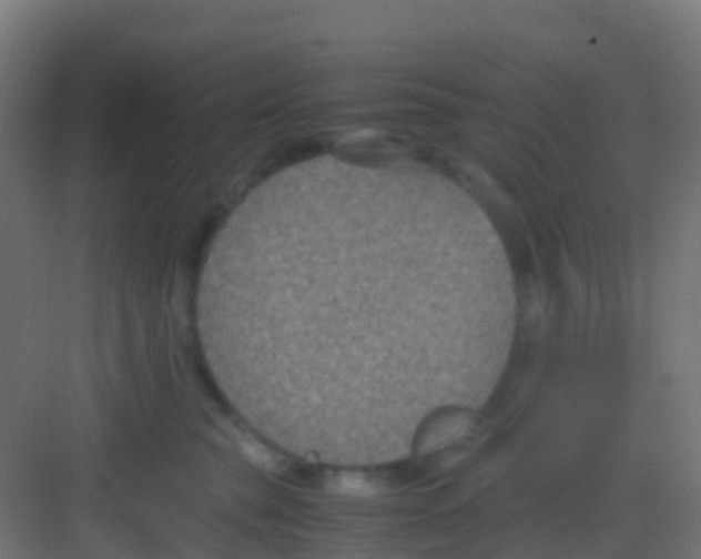 X0000081310565200702082113