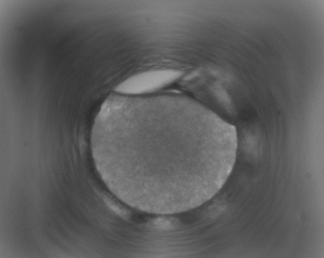 X0000081310566200702082113