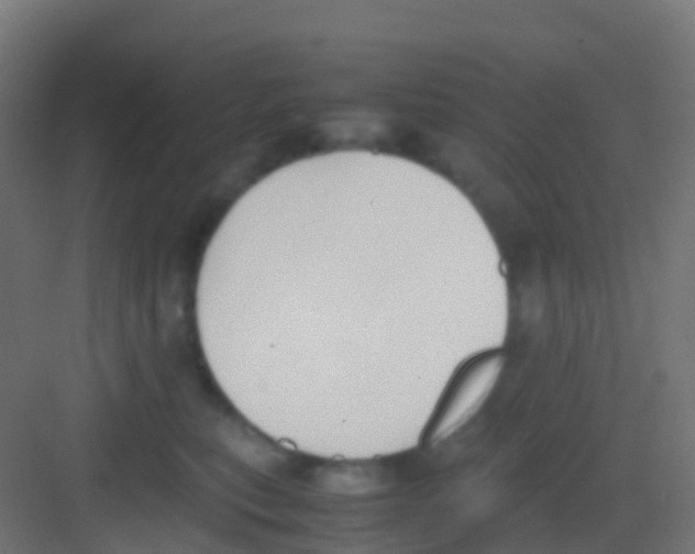 X0000081310567200702082113