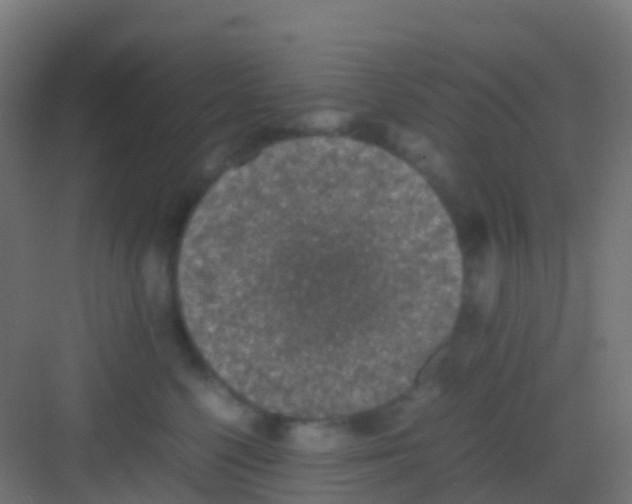 X0000081310568200702082113