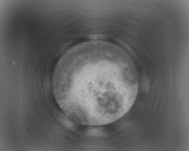 X0000081310569200702082113