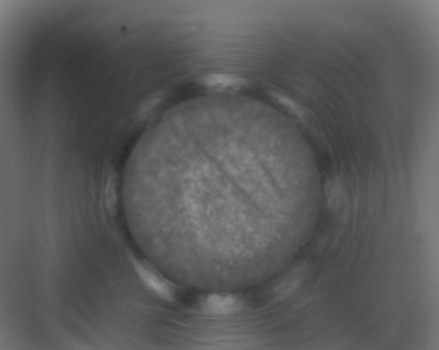 X0000081310570200702082113