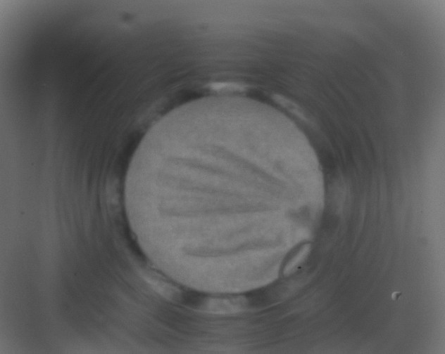 X0000081310571200702082113