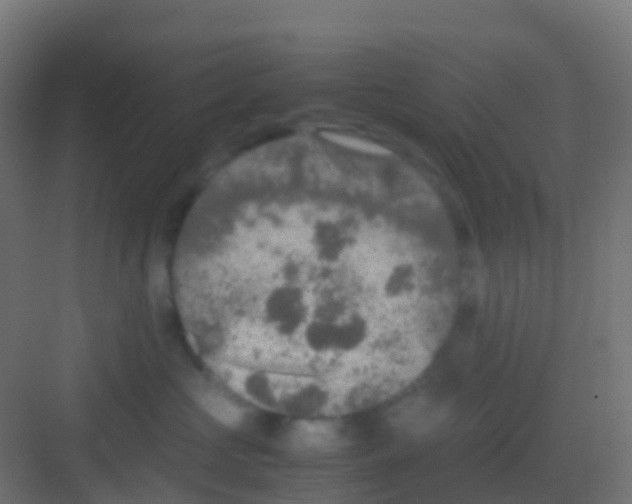 X0000081310573200702082113