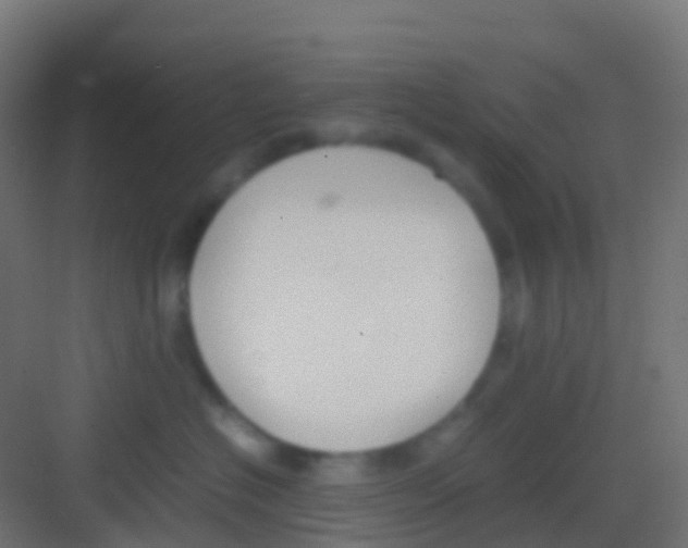 X0000081310574200702082113