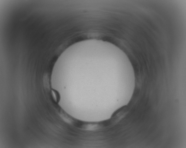 X0000081310575200702082113