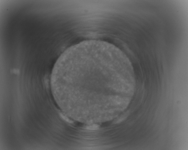 X0000081310576200702082113