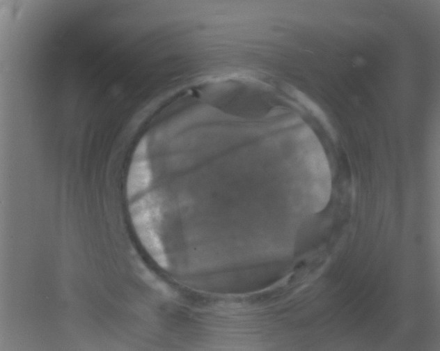 X0000081310577200702082112