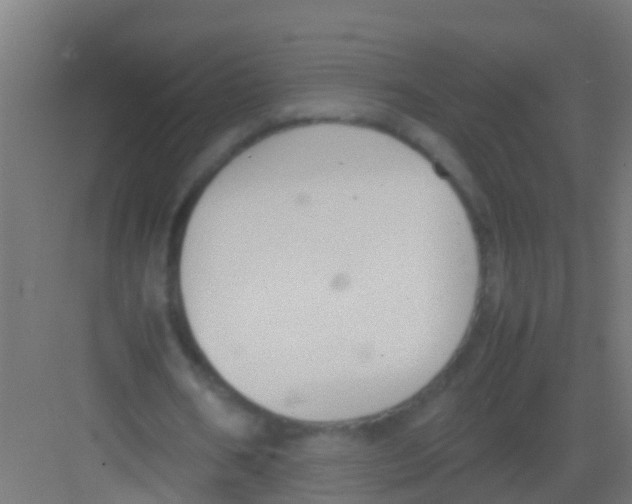 X0000081310578200702082112