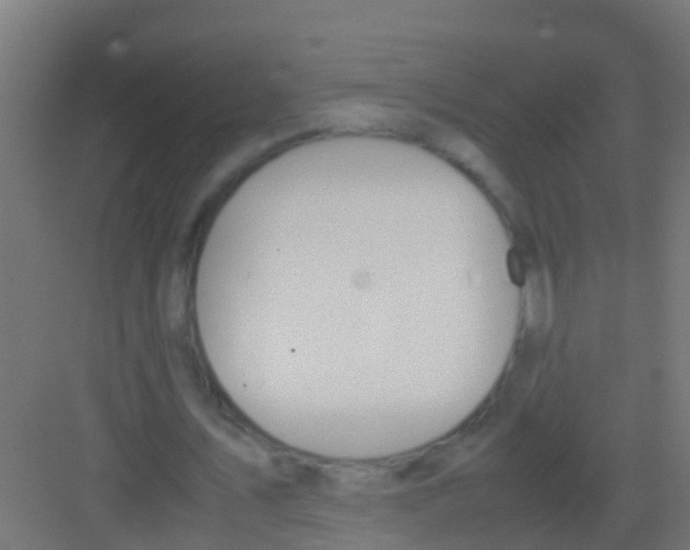 X0000081310579200702082112