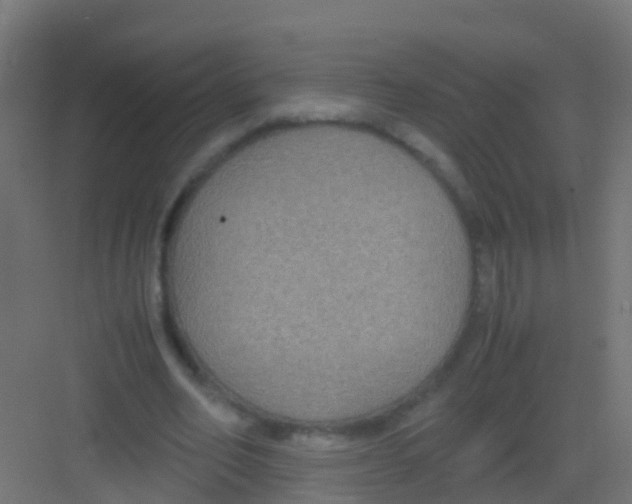 X0000081310582200702082112