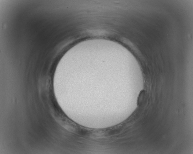 X0000081310583200702082112