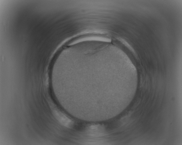 X0000081310584200702082112