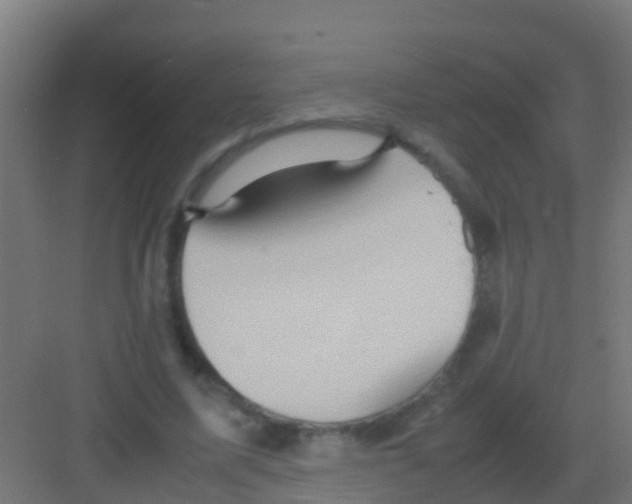 X0000081310587200702082112