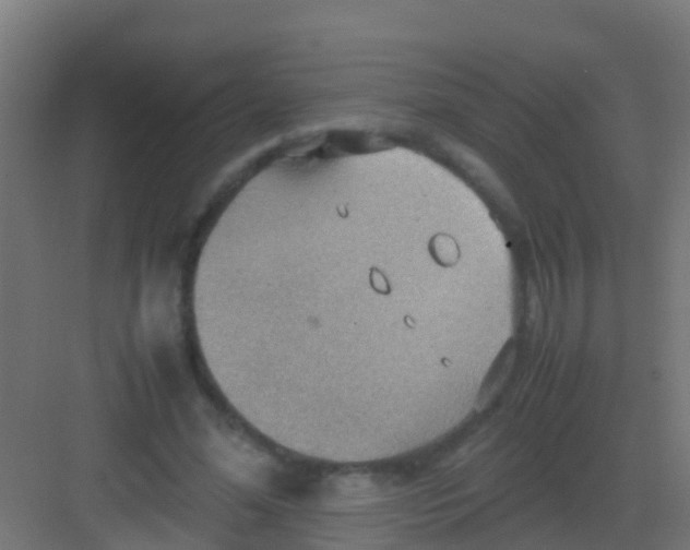 X0000081310588200702082112