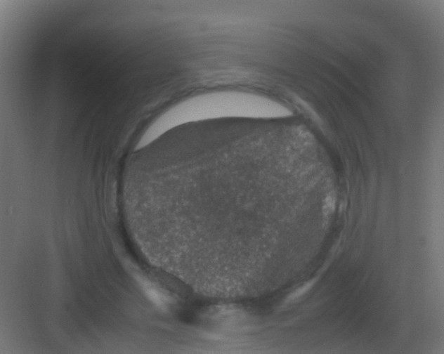 X0000081310589200702082112