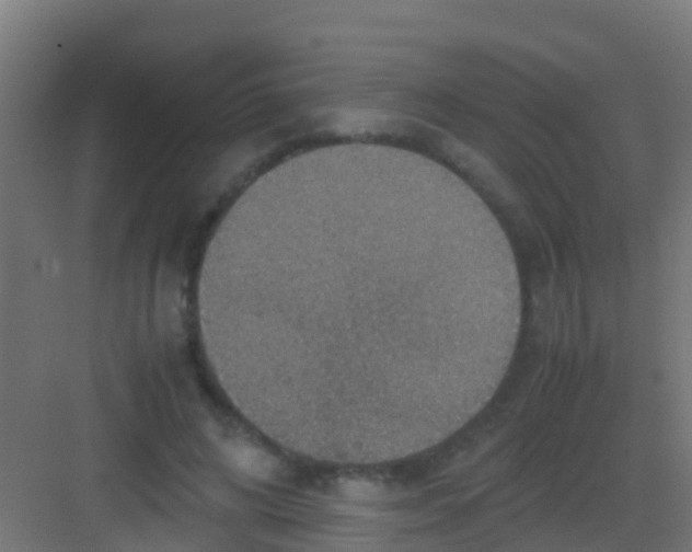 X0000081310592200702082112