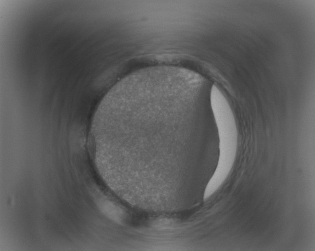 X0000081310593200702082112