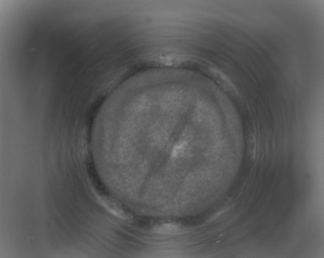 X0000081310594200702082112