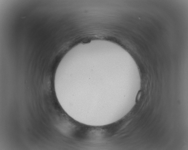 X0000081310595200702082112